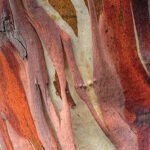 Mesa Redonda Embalagem para Alimentos e o Meio Ambiente