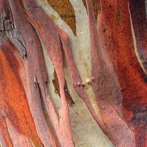 Mesa Redonda Embalagem para Alimentos e o Meio Ambiente