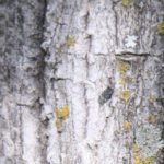 Sustentabilidade na Construção Civil