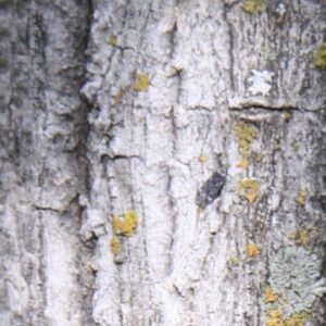 Sustentabilidade na Construção Civil