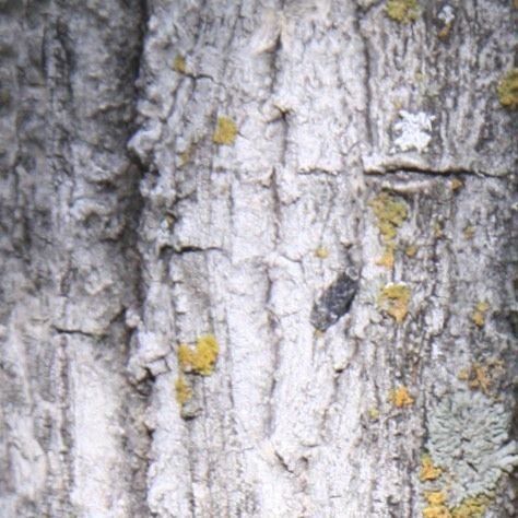 Sustentabilidade na Construção Civil