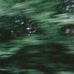 Oficina: Óleos Essenciais, Plantas Aromáticas