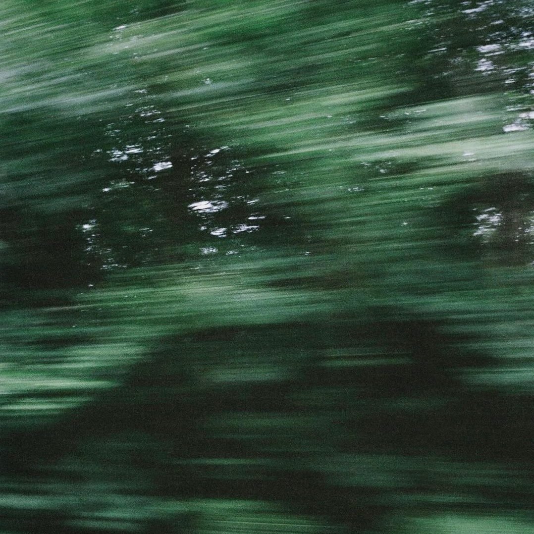 Oficina: Óleos Essenciais, Plantas Aromáticas