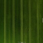 Workshop – Inovação na Agricultura