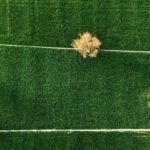 Palestra e Mesa redonda – Sucessão Familiar