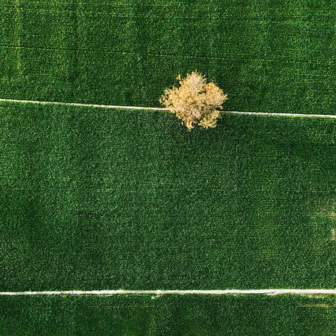 Palestra e Mesa redonda – Sucessão Familiar