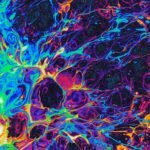 Oficina: Do explorar as interseções entre Artes Visuais, Corpo e Música