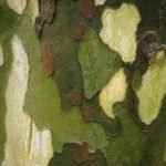 Solos - Fundações Especiais