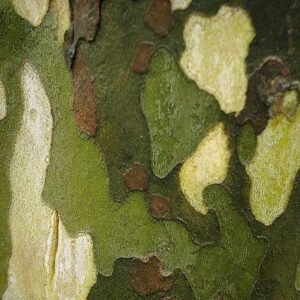 Solos - Fundações Especiais