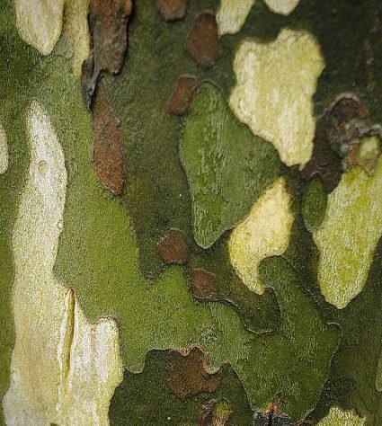 Solos - Fundações Especiais