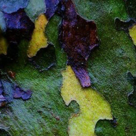 Universalização do saneamento: vencendo os obstáculos com Engenharia