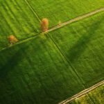 Mesa Redonda – Cases de Sucesso