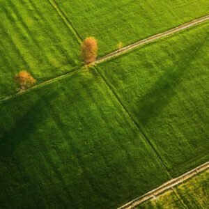 Mesa Redonda – Cases de Sucesso