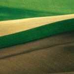 Oficina: Biocarrapaticidograma (uso de óleos essenciais)