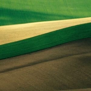 Oficina: Biocarrapaticidograma (uso de óleos essenciais)