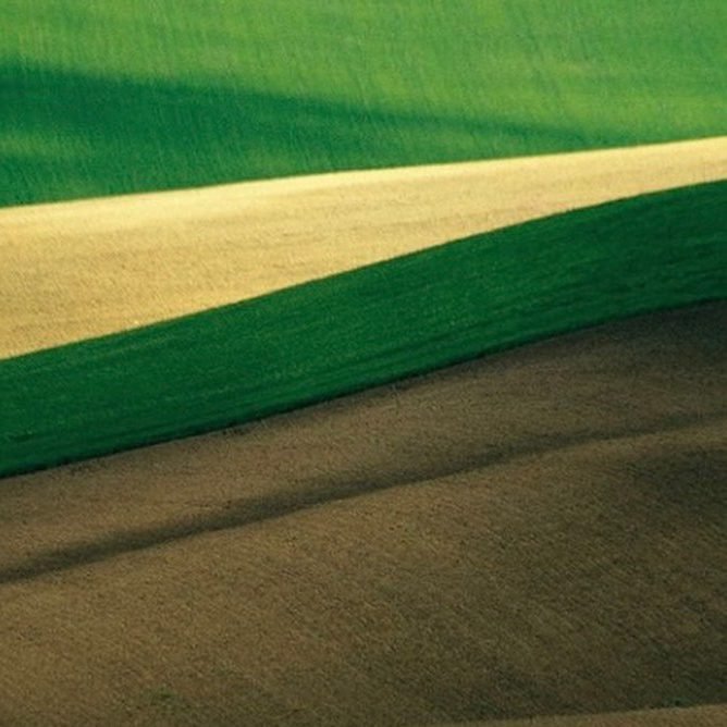 Oficina: Biocarrapaticidograma (uso de óleos essenciais)