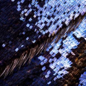 Biotecnologia Verde: Engenharia do futuro.