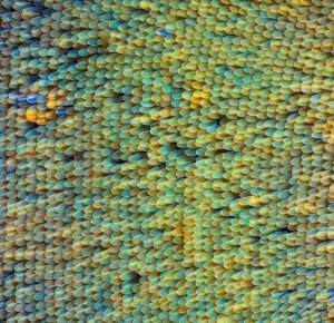 Movimento e cuidado: oficina para educadores