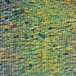 Movimento e cuidado: oficina para educadores