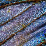 Oficina: Vivência Pedagógica: os sentidos na fluidez e na modelagem