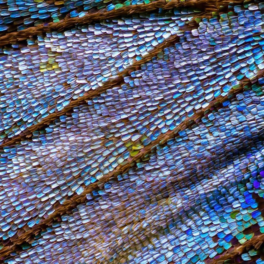 Oficina: Vivência Pedagógica: os sentidos na fluidez e na modelagem