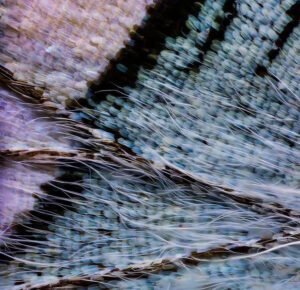 Inteligência Artificial e o Direito - Aplicações Práticas