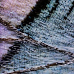 Inteligência Artificial e o Direito - Aplicações Práticas