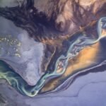 ESG & Inovação no Grupo Petrópolis