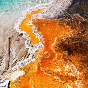 Fórum Construções Sustentáveis: Vivência de Bioconstrução