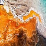 Compostagem de resíduos de poda como ferramenta para cidades inteligentes