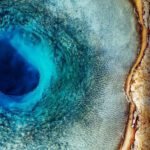 Onde estará seu eletrônico daqui 450 anos